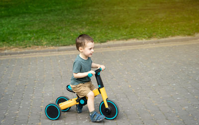 A smiling toddler boy of two or three years old rides a bicycle or balance bike in a city park 