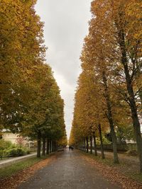 Footpath amidst trees in park during autumn