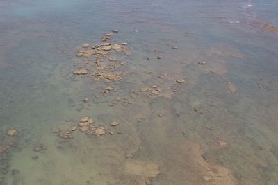 View of sea from shore