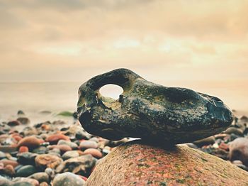 Bizzare rock on the pebbles beach. stony offshore. fascinating ocean view, everyone loves the ocean.