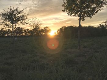 Scenic view of field against sky during sunset