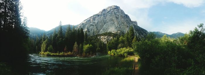 Scenic view of lake in forest against sky