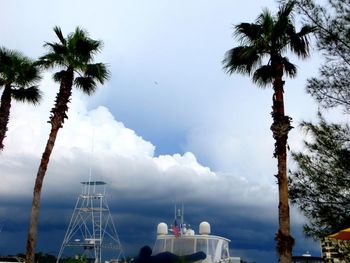 Low angle view of palm trees against sky