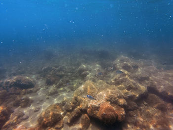 View of sea underwater