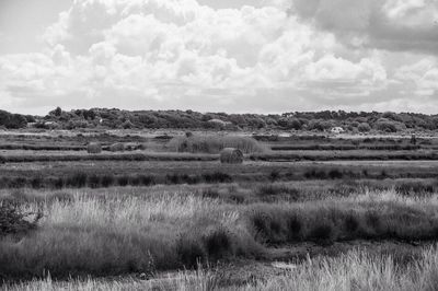 Scenic view of field against cloudy sky