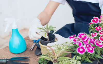 Midsection of woman holding white flowering plants