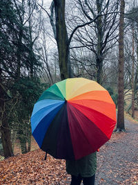 Multi colored umbrella in a forest 