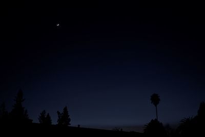 Low angle view of silhouette trees against sky at night