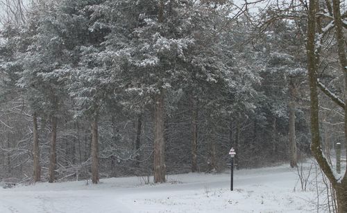 Ozarks snow scene