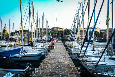 Sailboats moored in harbor