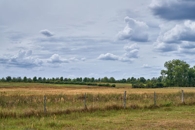 Scenic view of field against sky