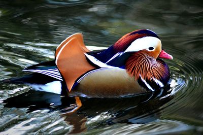 View of water in water