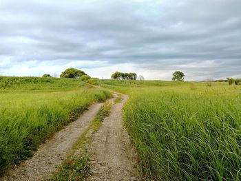 Empty road along countryside landscape