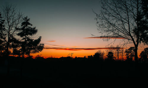 Silhouette trees against sky during sunset