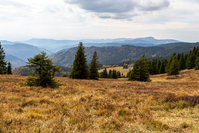 Scenic view of landscape and mountains against sky