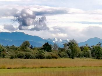 Scenic view of field against sky