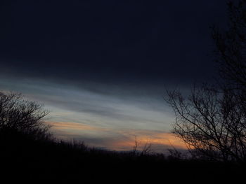 Low angle view of silhouette trees against sky at sunset