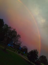 Rainbow over trees against sky