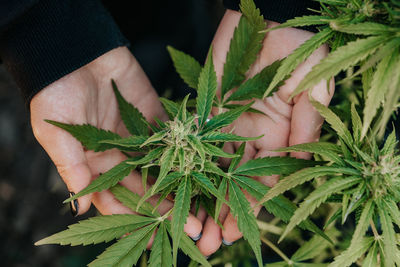 Midsection of woman holding plant