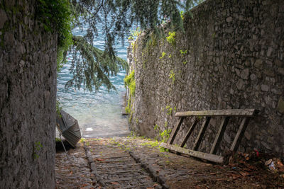 Empty footpath amidst trees in forest