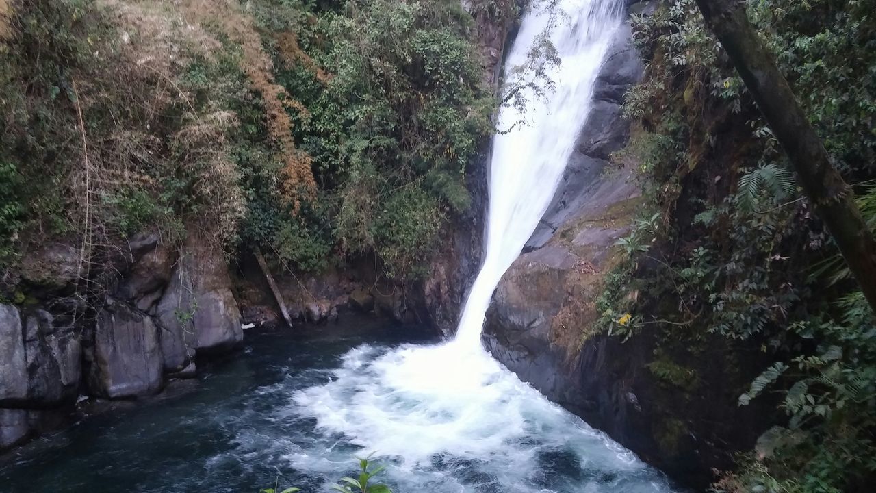 Cerro chirripo