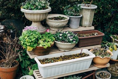 High angle view of potted plants in yard