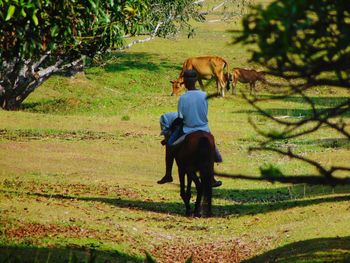 Rear view of woman with dog on field