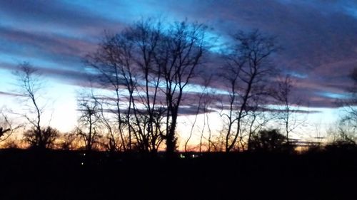 Silhouette of trees on landscape at sunset