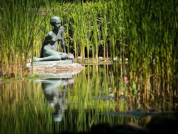 Statue swimming in lake