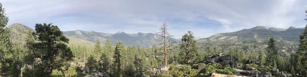 Panoramic view of trees and mountains against sky