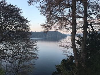 Reflection of trees in lake against sky