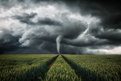Scenic view of agricultural field against cloudy sky
