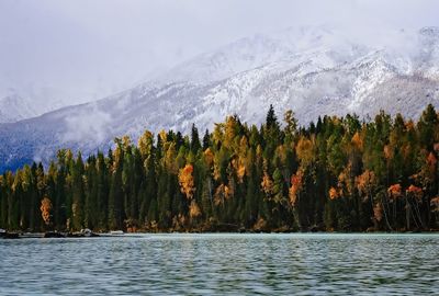 mountain