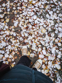 Low section of man standing on road by frozen leaves