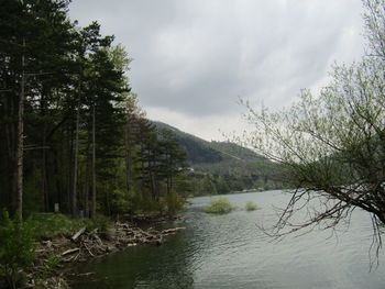 Scenic view of lake by trees against sky