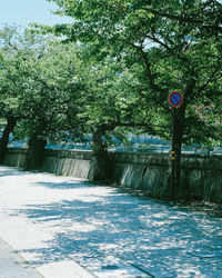 View of road sign by trees