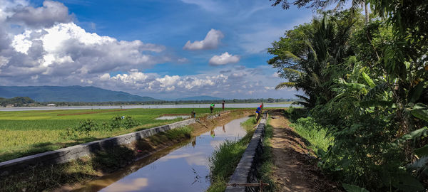 Scenic view of landscape against sky