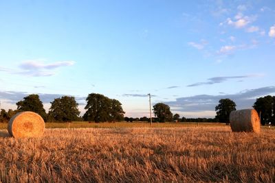 Hay bales on field against sky