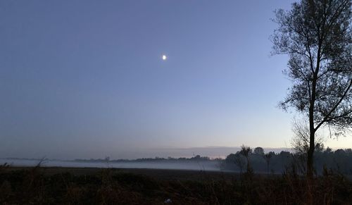 Scenic view of field against clear sky at night