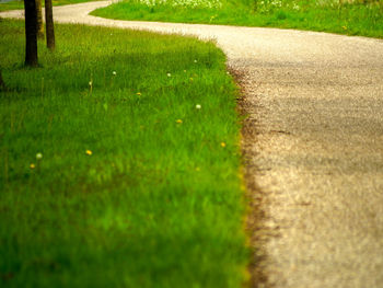 Surface level of footpath in park