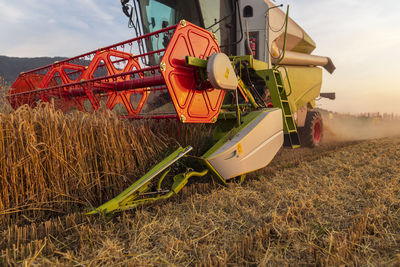 Organic farming, wheat field, harvest, combine harvester in the evening