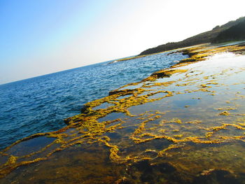 Scenic view of sea against clear sky