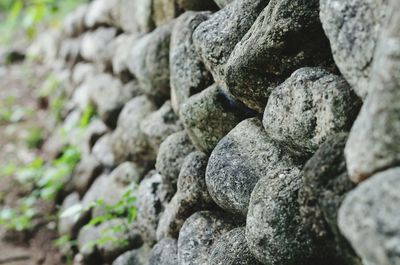 Close-up of rocks