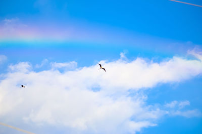 Low angle view of bird flying in sky