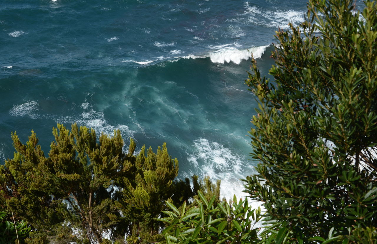 Salto da Farinha