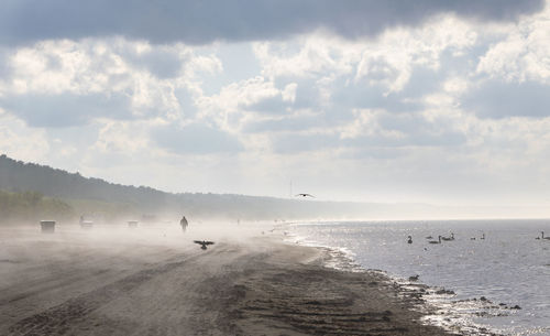 Scenic view of sea and misty beach  against sky 