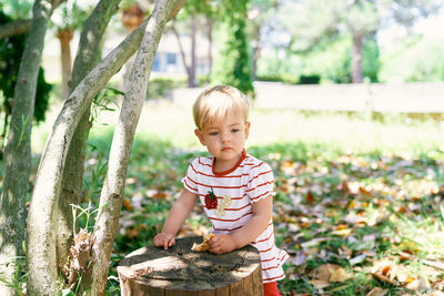 Cute boy looking away outdoors