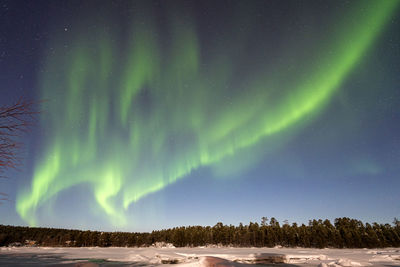 Scenic view of trees against sky at night during winter