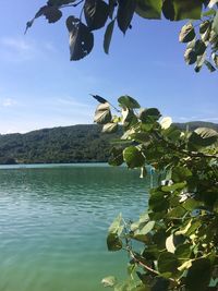 Scenic view of water  against sky