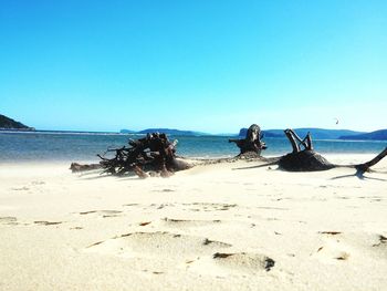 Scenic view of sea against clear sky